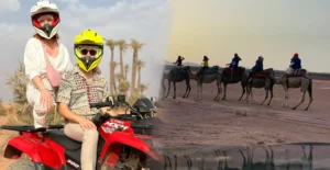 Quad Bike and Camel Ride in the Palm Grove