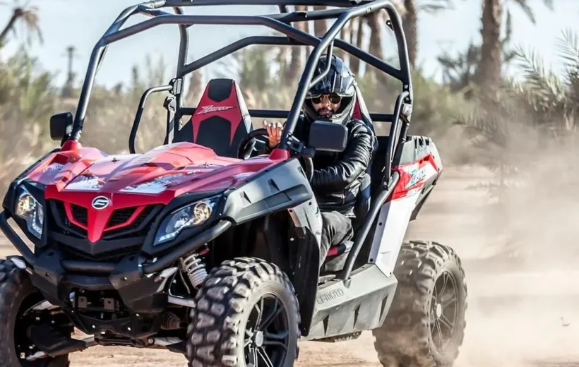 Buggy Riding in the Palm Trees and Desert of Marrakech