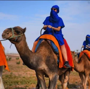 Camel Riding in the Palm Trees and Desert of Marrakech