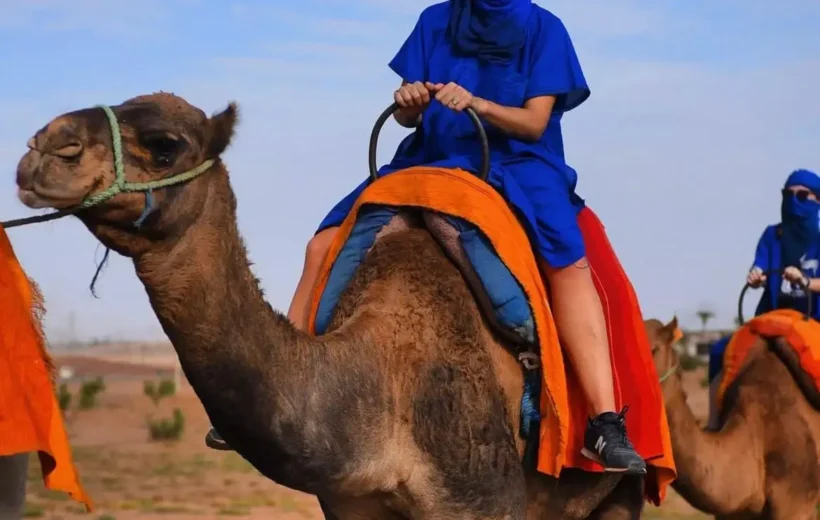 Camel Riding in the Palm Trees and Desert of Marrakech