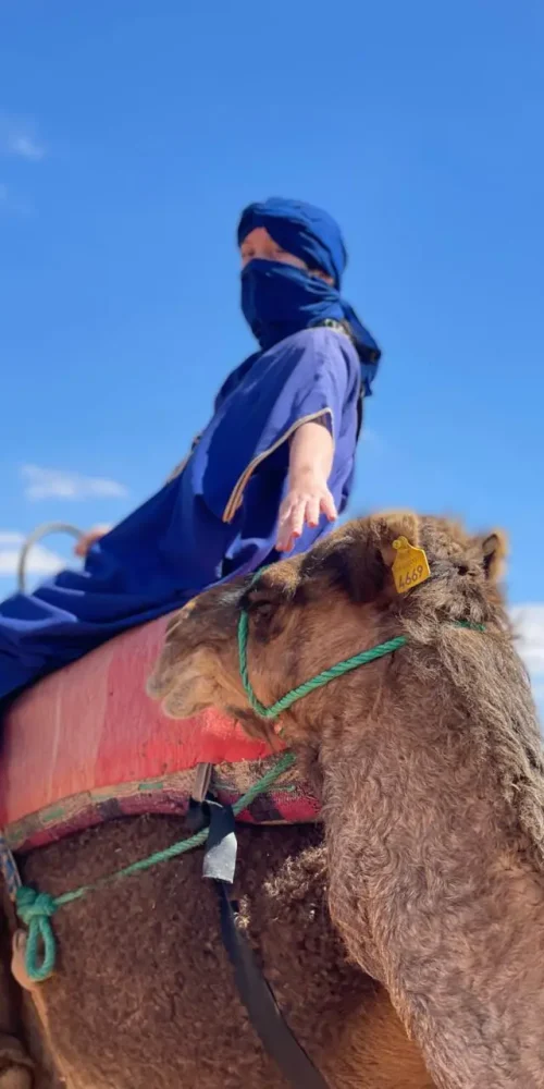 Traditional camel ride experience in Marrakech desert